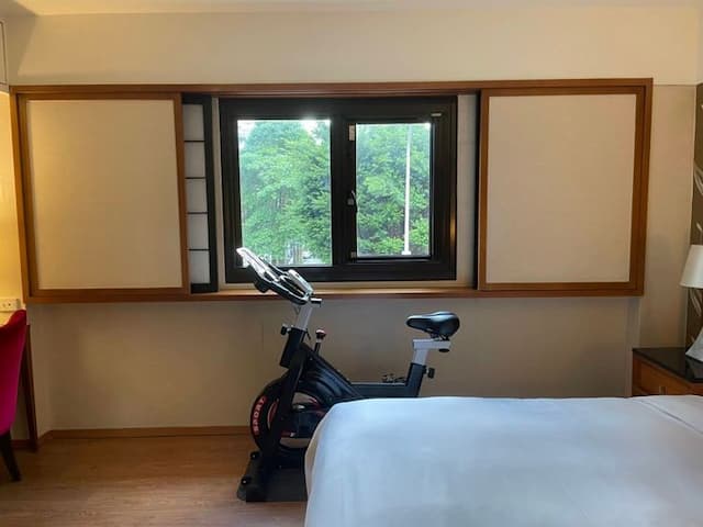 大來商旅-貴賓房附飛輪機  (15坪)-2