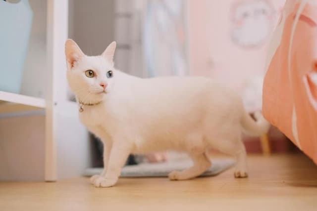 Moon walks slowly-Air Double Room - 3F-10