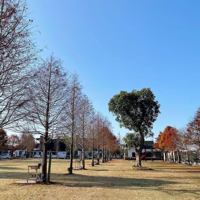 Shuiyu Niguang GC Garden Camping-[Self-booking] 10MX8M large camp ll can take one account-2