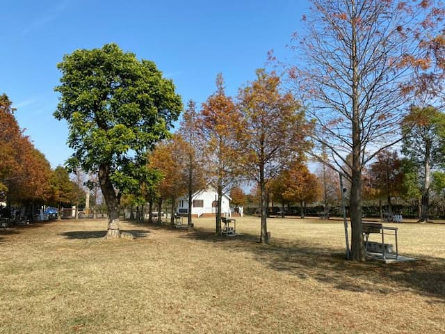 Shuiyu Niguang GC Garden Camping-[Self-booking] 10MX8M large camp ll can take one account-3