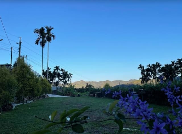 雙龍景觀營地-【自搭帳】A區營位 5Mx3M-7