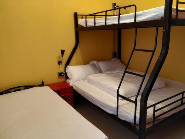 Backpacker Inn Hall 497-2-Quadruple Room-2