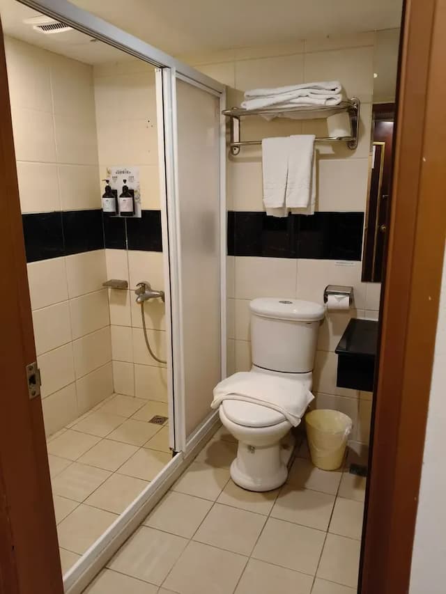 華登商務大飯店 ｜洲際棒球場10分鐘 ｜-豪華雙床房-7