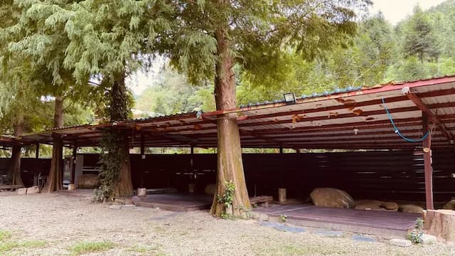 靜月居｜特色小木屋及露營體驗-【自搭帳】樹景區 3MX3M-2