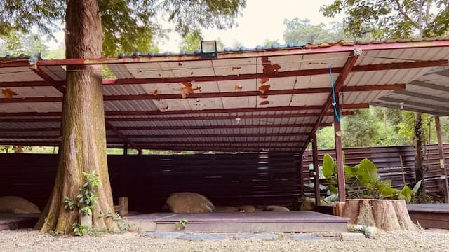 靜月居｜特色小木屋及露營體驗-【自搭帳】樹景區 3MX3M-1