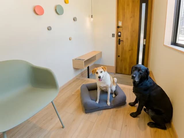 【ペット同泊可】ワンちゃん用クッションでリラックス