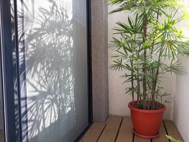 陽台綠意點綴，在日光與樹影間，打造專屬於旅人的靜謐角落。