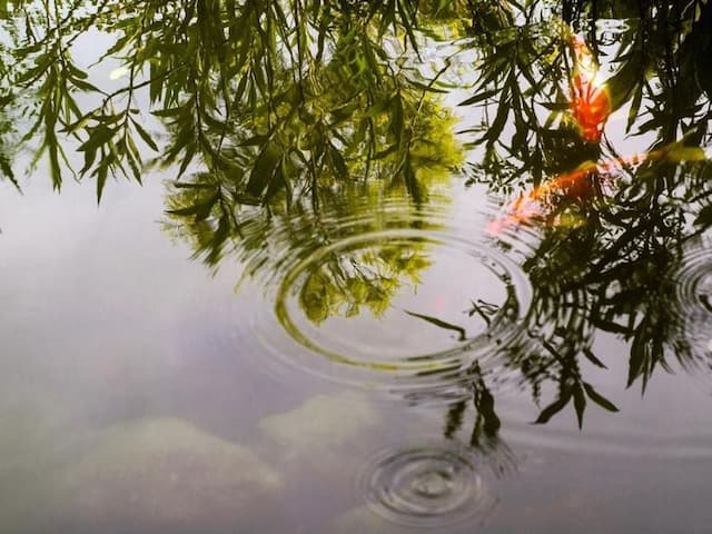 HOFIVILLA和風飯店-戀戀和風-3