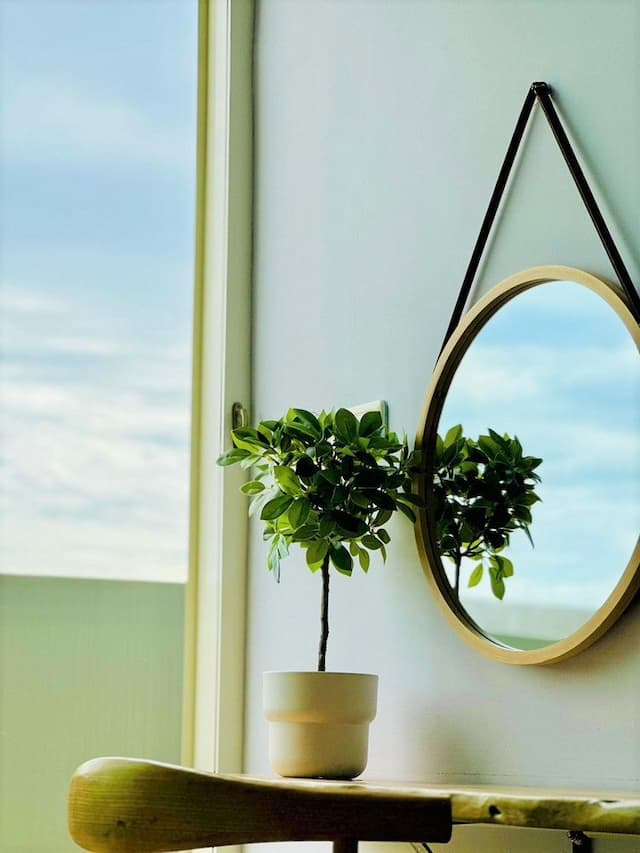 smalldug-Extra Large Suite - with Balcony (402)-5