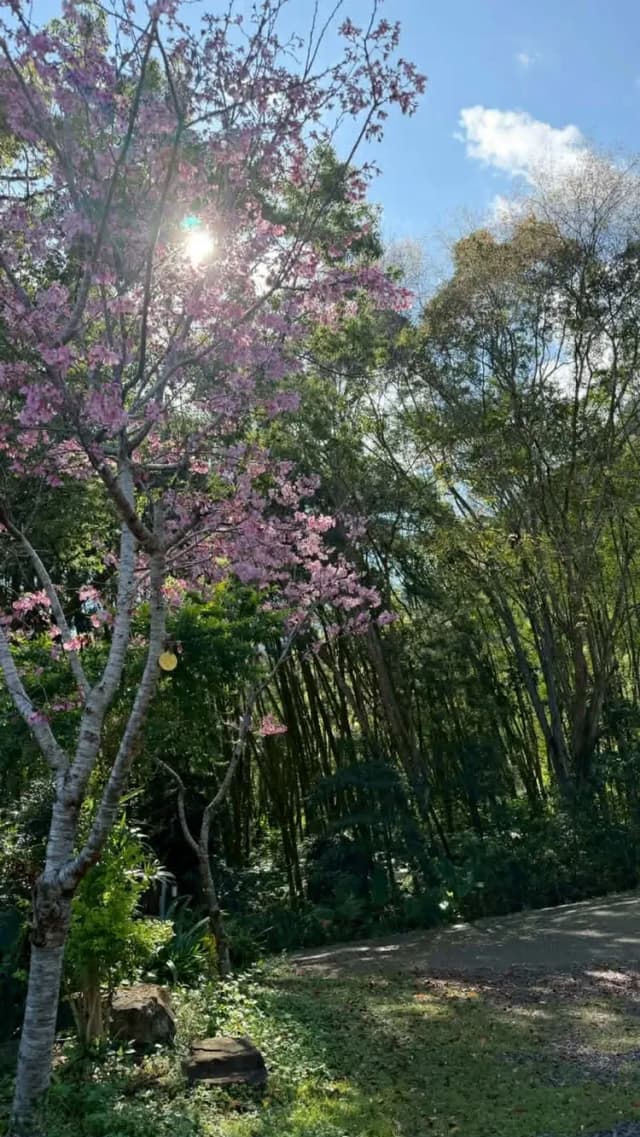 拾階莊園｜豪華露營體驗  近內灣老街-【露營】二階｜六人露營體驗-5