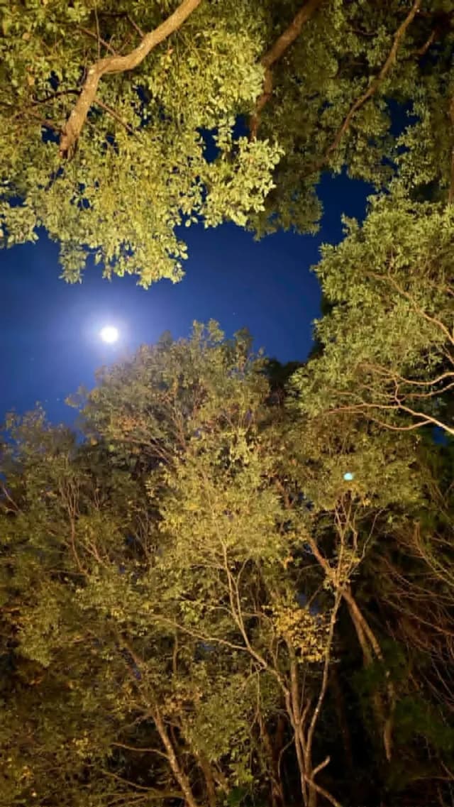 拾階莊園｜豪華露營體驗  近內灣老街-【露營】五階｜六人露營體驗-3