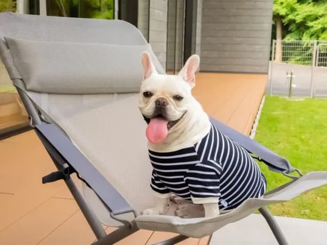 【ペット同泊可】デッキチェアでひとやすみ