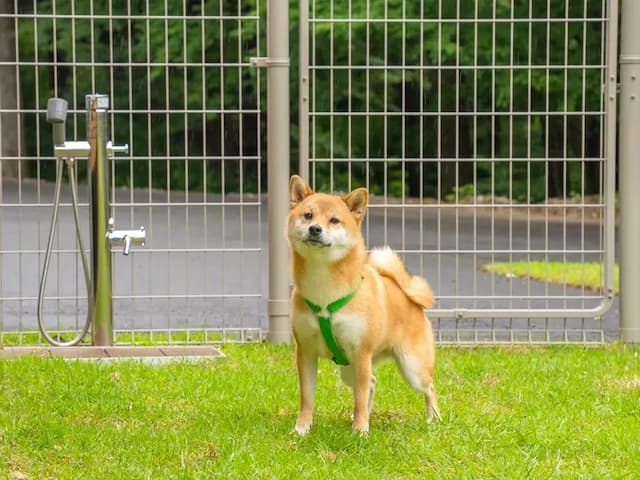 【ペット同泊可】足洗いなどに使える水栓を設置