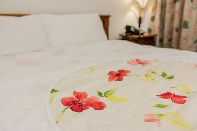 山中城宝渡假民宿-203 景觀雙人套房-3