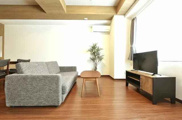 テレビをソファでくつろいで見る