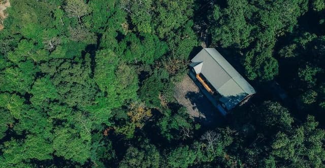 Oxygen Tribe-Yue Taoxiang Leisure Farm-[Cabin] Quadruple Room-5