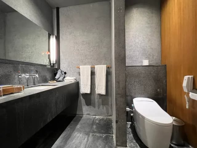 泰安觀止溫泉會館-觀止情房-4