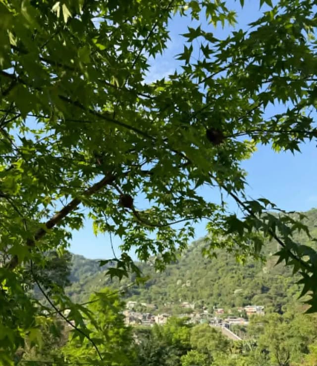 拾階莊園｜豪華露營體驗  近內灣老街-【露營】一階｜豪華五人露營體驗-6