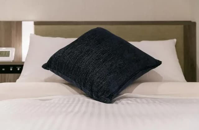 HOTEL MYSTAYS Kagoshima Tenmonkan Annex-Standard Semi-Double Room-2