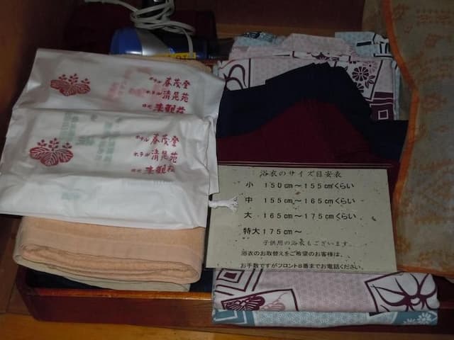 日光溫泉旅館 清晃苑｜東照宮步行5分/露天溫泉-日式客房A【不挑房】-6