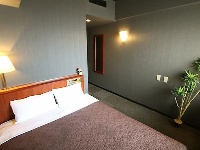 Hotel Livemax Budget Yokohama Tsurumi-Double Room, Smoking-1