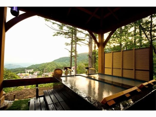 藏王溫泉 最上高湯 善七乃湯 大平飯店｜露天溫泉/接送服務/寵物OK/近藏王溫泉滑雪場-西式雙床房-溫泉街景【不挑房】-5