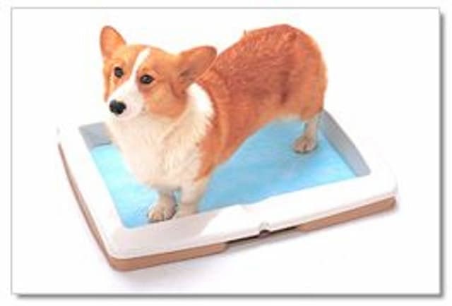 藏王溫泉 最上高湯 善七乃湯 大平飯店｜露天溫泉/接送服務/寵物OK/近藏王溫泉滑雪場-日式房-寵物OK【不挑房】-7