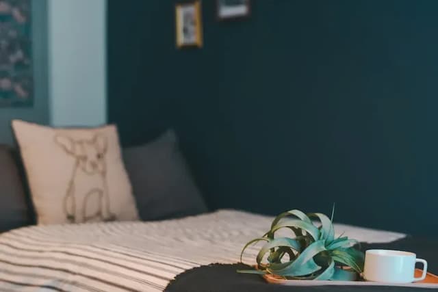 Flourish 67 旅居-01｜薄野站9分/東本願寺前站步行1分-雙床房，最多2人-6