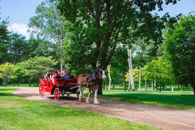 KIYAZA CITY 札幌-ファミリータイプのプライベートルーム　 地下鉄白石駅徒歩3分！大通りまで地下鉄10分！ ７０２-12