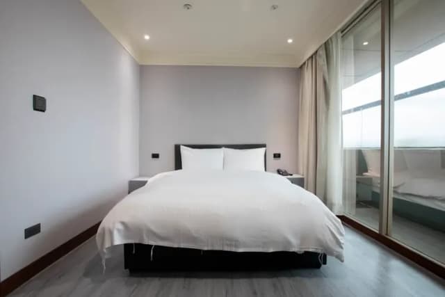 Xinshe Hotel｜Zhongli Branch-Deluxe Double Room with City View-2