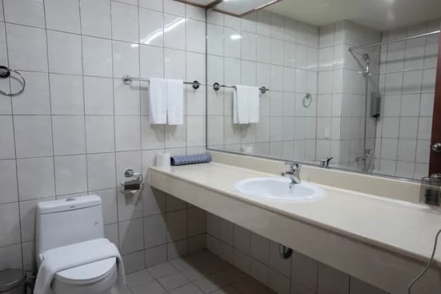Xinshe Hotel｜Zhongli Branch-Deluxe Double Room with City View-5