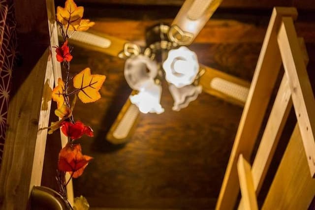 Himejigahaha Guest House-[Non-smoking] Female dormitory (6-person room)-6