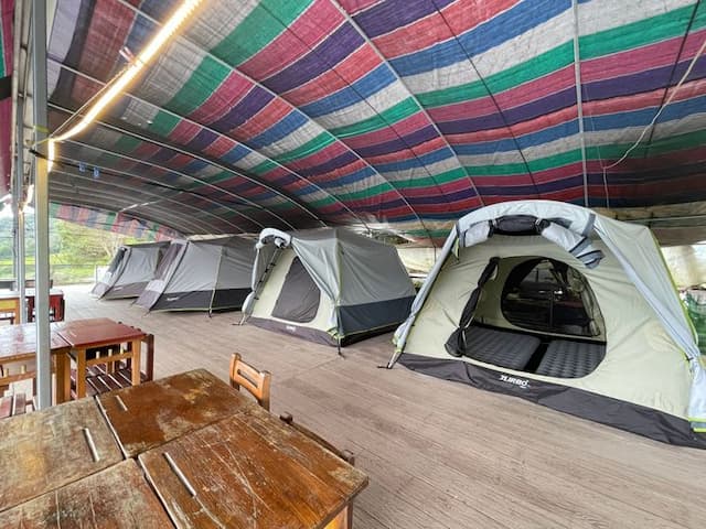 此區為全木棧板地，不可攜帶寵物、升營火、禁菸