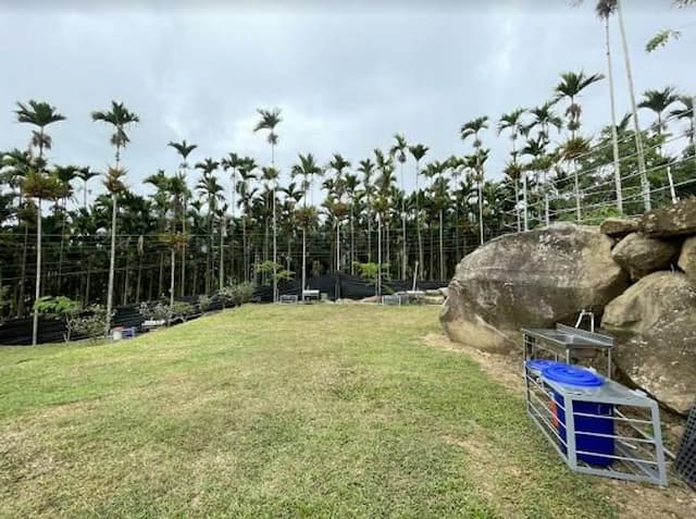 Meadow Champion Camping Area-【Self-accommodation】Grassland in Area A2 5Mx8M-4