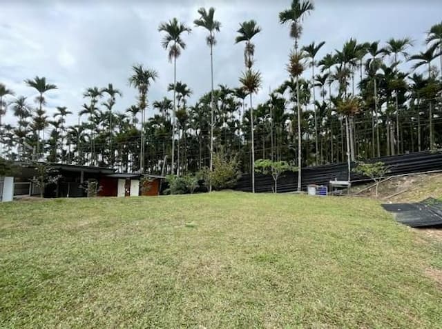 Meadow Champion Camping Area-【Self-accommodation】Grassland in Area A3 5Mx8M-3