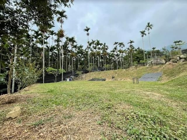 Meadow Champion Camping Area-【Self-accommodation】Grassland in Area A3 5Mx8M-2