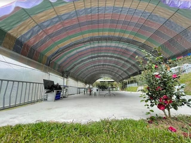 Meadow Champion Camping Area-[Self tent] Canopy in area B-1