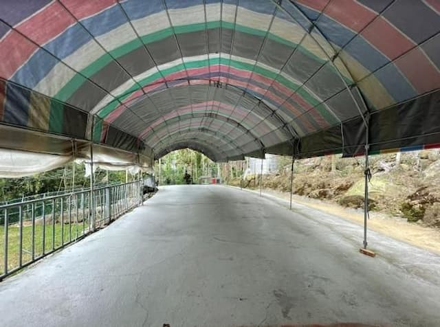 Meadow Champion Camping Area-[Self tent] Canopy in area D-3