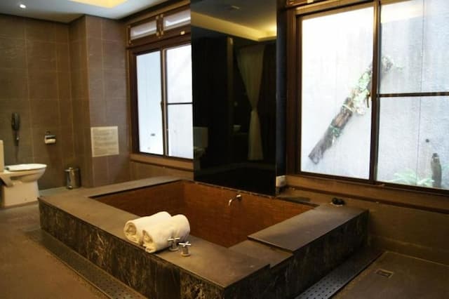 Goya Spring Resort.-Standard Double Room-6