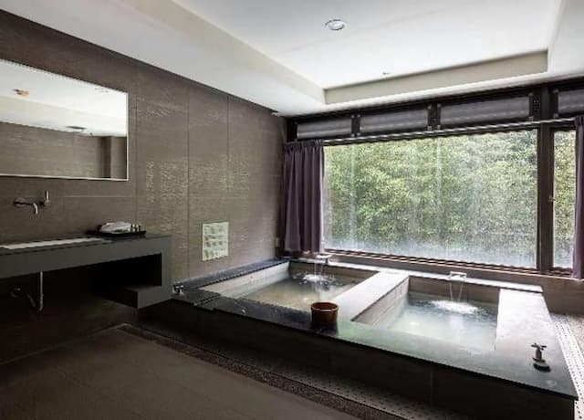 Goya Spring Resort.-Large Double Room-4
