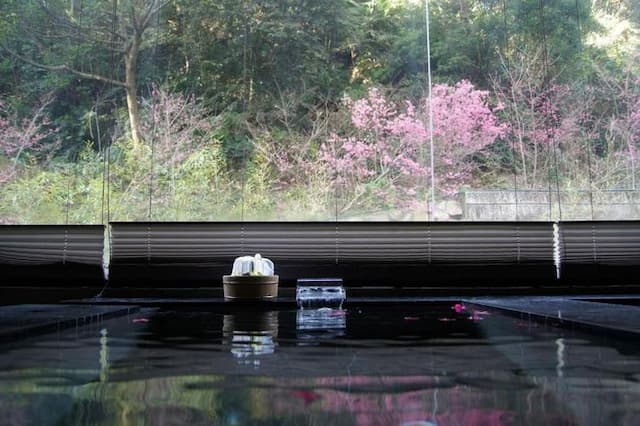 Goya Spring Resort.-Deluxe Family Suite-6