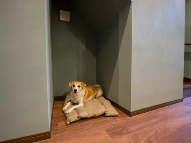 【ペット可・一棟貸ヴィラ】ペットとのご滞在