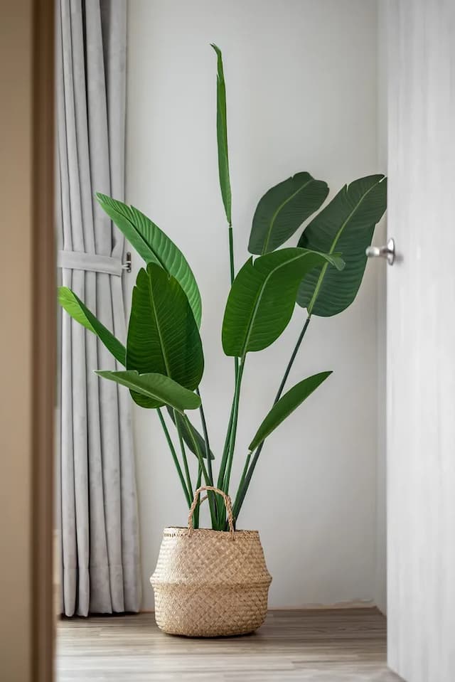 Penghu Yun Ting Style Inn-Family Room with Balcony-202-9