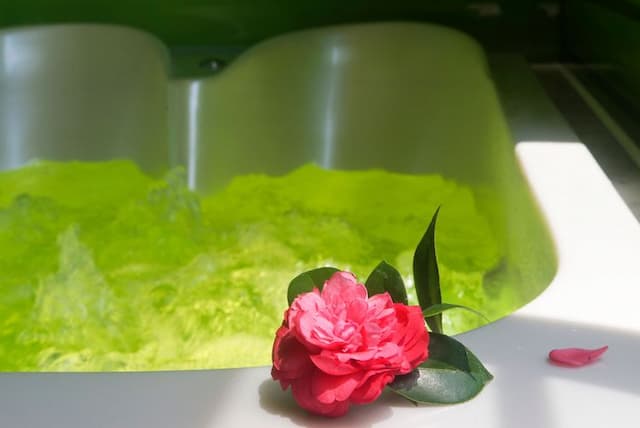 Lake Mountain View Inn-Exquisite Double Room - Attached Garage-3