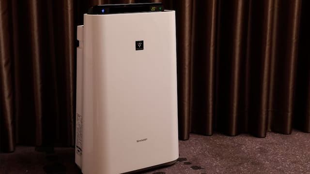 〇 Humidified air purifier (permanent in all rooms)