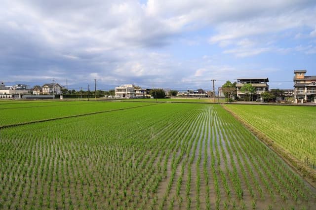 鴝花甜點民宿-瑪德蓮-12