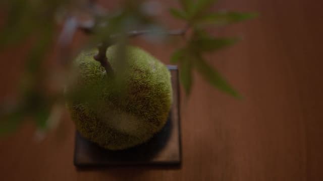 Staypia旅居 難波惠美須 | 惠美須町站步行1分/近通天閣-904-5