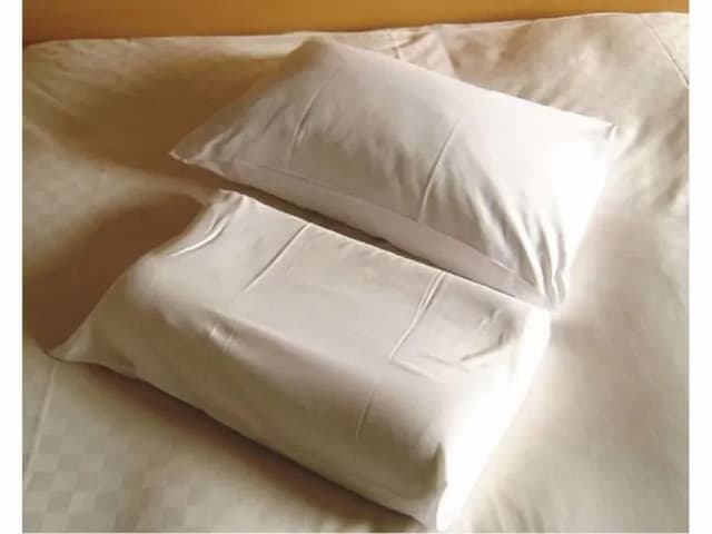 盛岡大都會酒店 新翼｜盛岡JR步行2分-雙人房【限一人使用，不挑房】-5