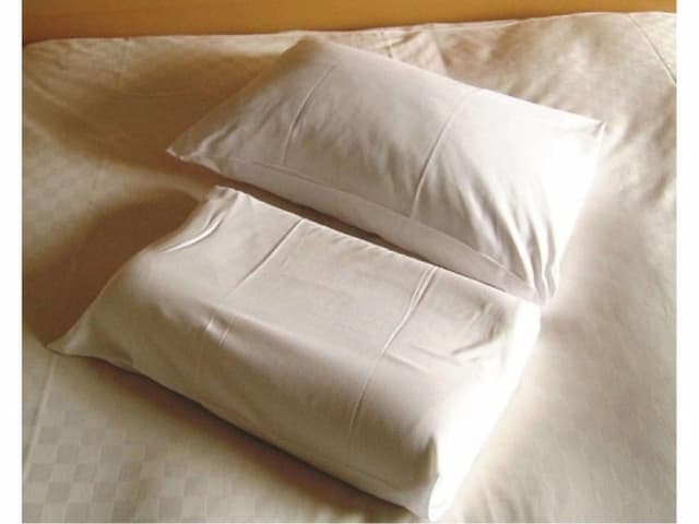 盛岡大都會酒店 新翼｜盛岡JR步行2分-雙床房【不挑房】-2