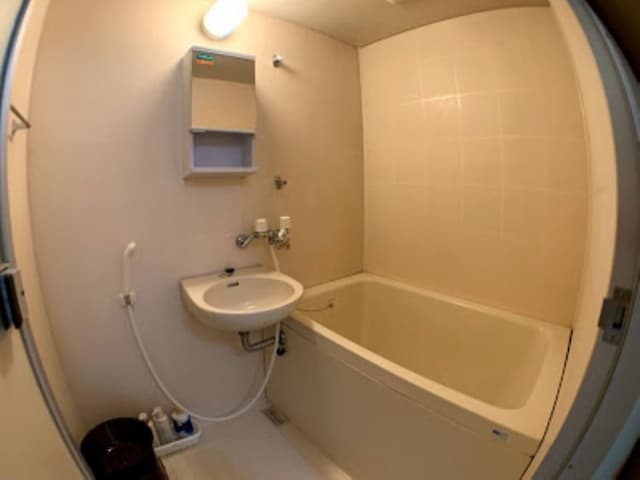 Big stone tsukuda-ハリウッドツイン（SD×2ベッド）-10